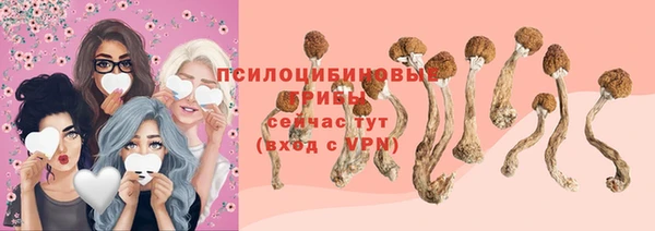 а пвп мука Баксан