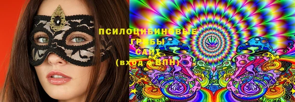 дживик Балахна