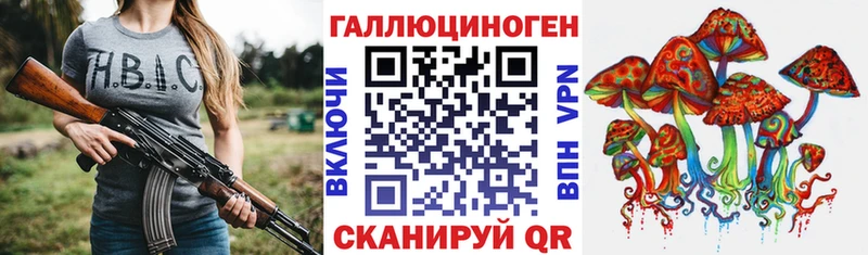 купить закладку  Переславль-Залесский  blacksprut зеркало  Галлюциногенные грибы Psilocybe 